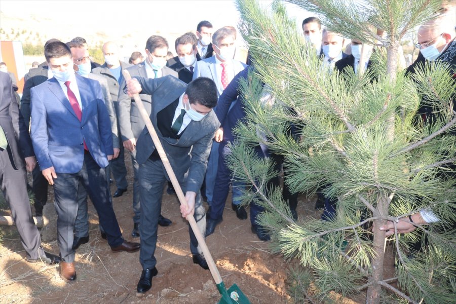 Ülkü Ocaklarından Fidan Dikim Seferberliği