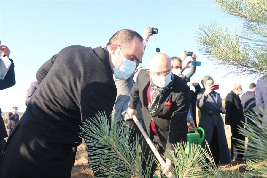 Ülkü Ocaklarından Fidan Dikim Seferberliği