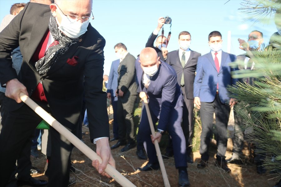 Ülkü Ocaklarından Fidan Dikim Seferberliği