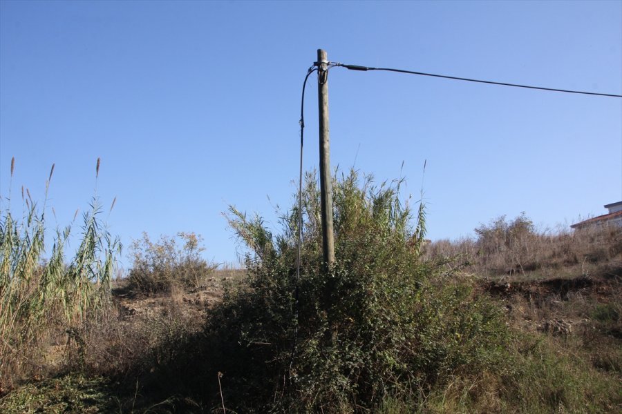 Antalya'da Telefon Direklerinden Kablo Hırsızlığı