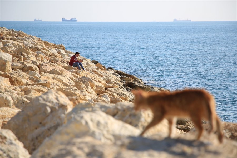 Mersin'de Vatandaşlar Güneşli Havanın Tadını Çıkarıyor