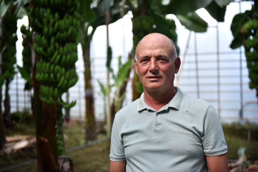 Muz Üreticileri Devlet Desteklerinden Memnun