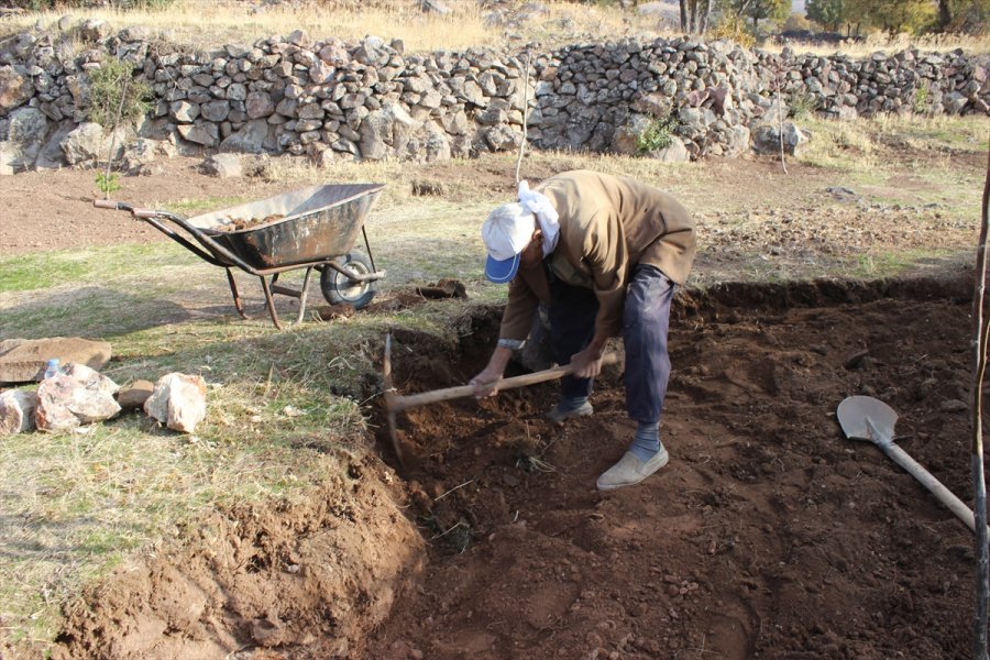 88 Yaşındaki Aşır Dede, Azmiyle Gençlere Taş Çıkartıyor