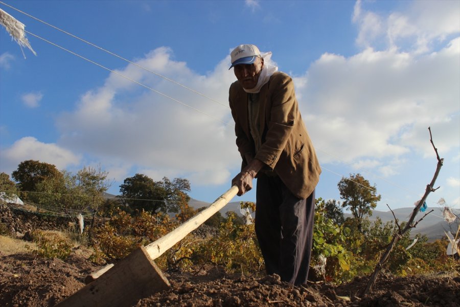 88 Yaşındaki Aşır Dede, Azmiyle Gençlere Taş Çıkartıyor