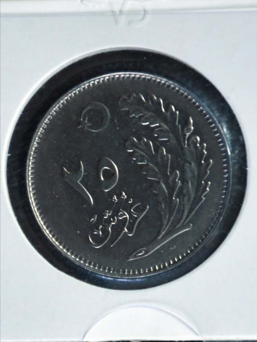 Terzi Babasının Koleksiyonu 