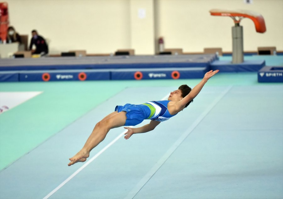 Avrupa Erkekler Artistik Cimnastik Şampiyonası