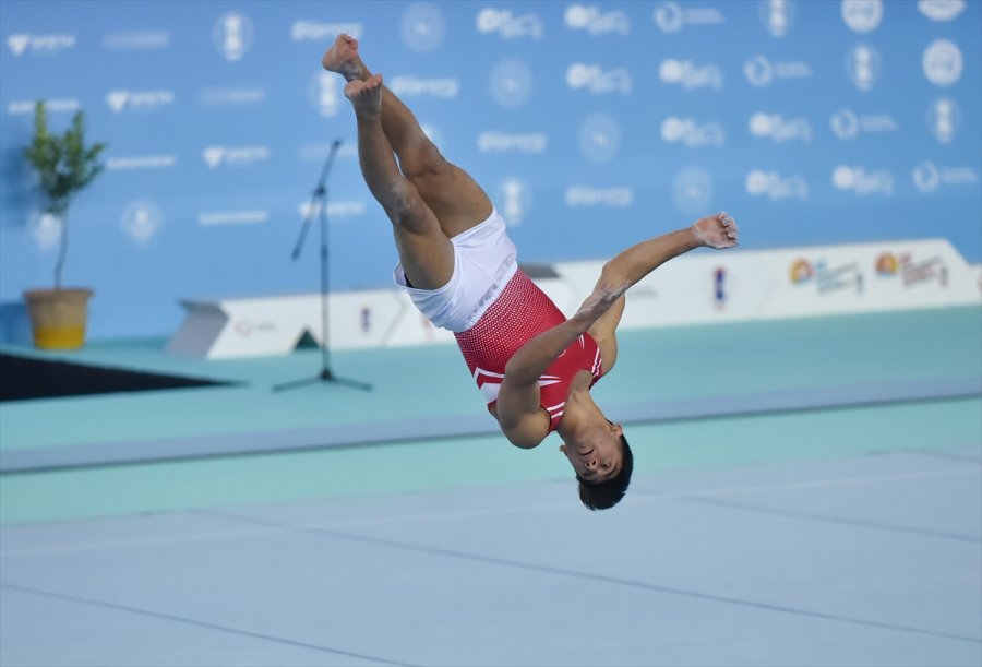 Avrupa Erkekler Artistik Cimnastik Şampiyonası