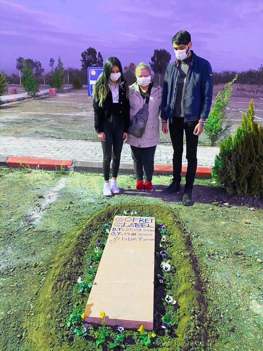 Yaşamını Yitiren Köpek Yavrusu 