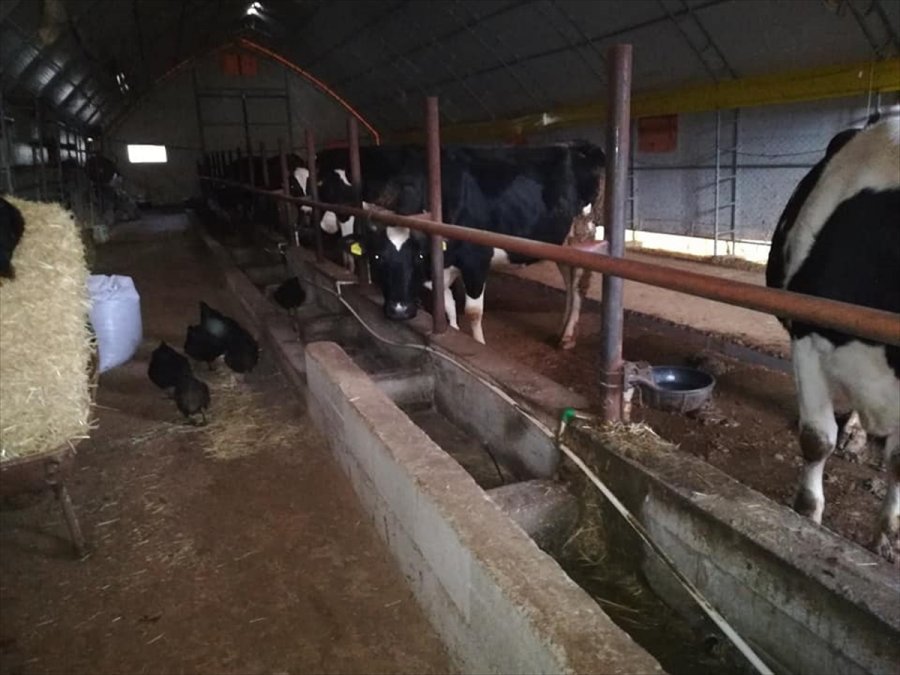 Kop'tan Derebucak'taki Besicilere Portatif Barınak Desteği