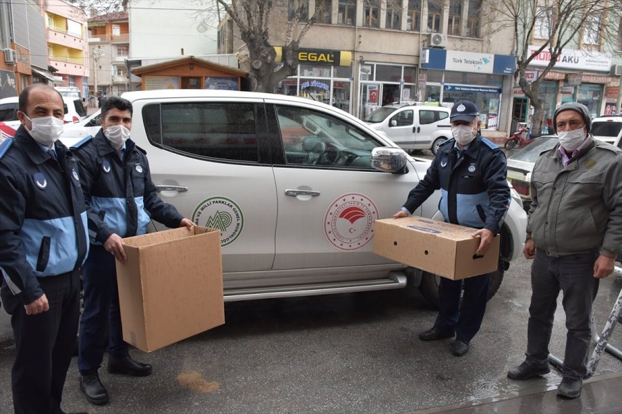Konya'da Yaralı Halde Bulunan Baykuş Ve Kızıl Şahin Tedavi Altına Alındı