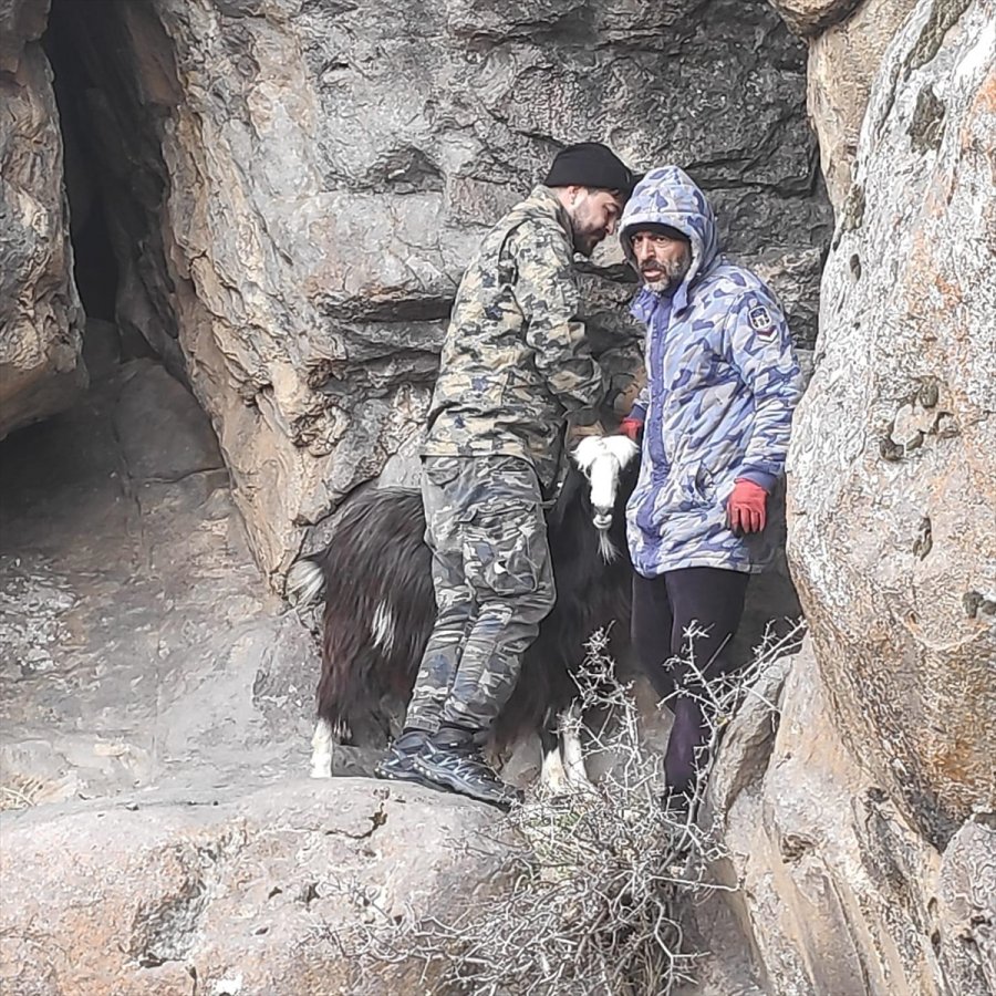 Kayalıkta Sıkışan Keçileri Afad Ekipleri Kurtardı