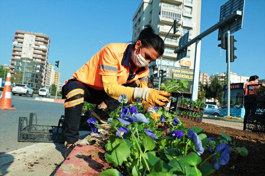 Mersin'de 430 Bin Çiçek Toprakla Buluştu