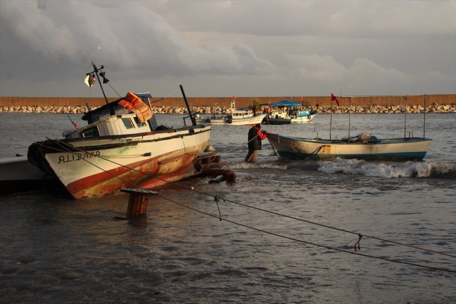 Mersinli Balıkçıların Olası 