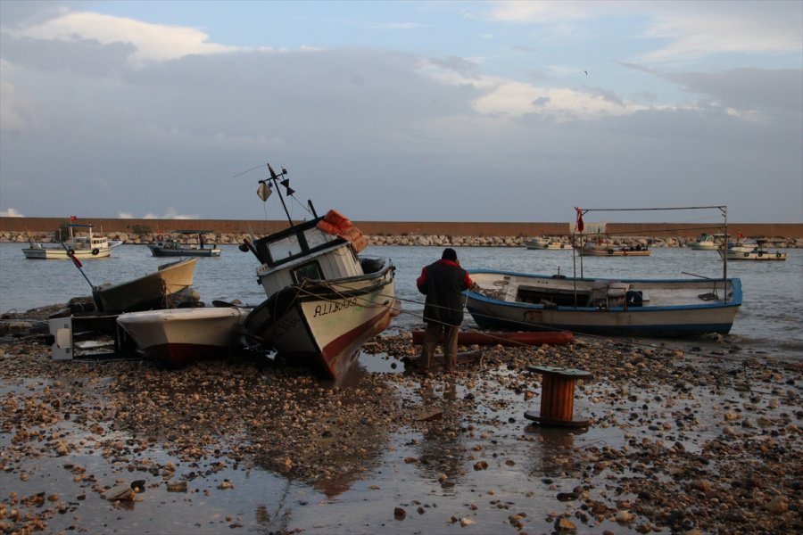 Mersinli Balıkçıların Olası 