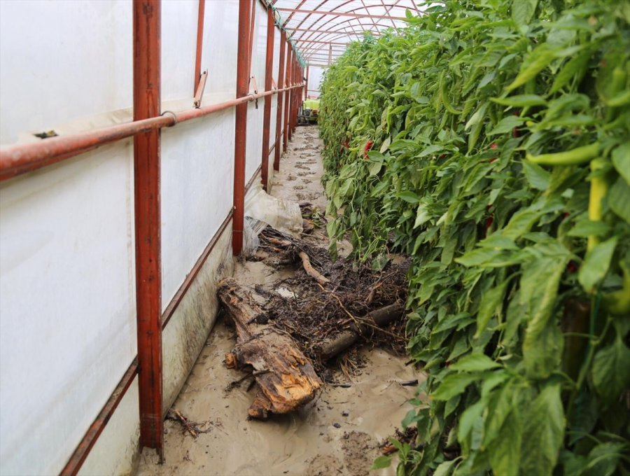 Kuvvetli Sağanak Nedeniyle Kaş'ta 30 Dekar Sera Alanı Zarar Gördü