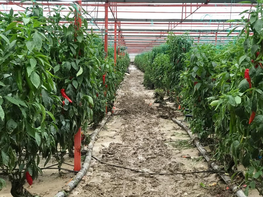 Kuvvetli Sağanak Nedeniyle Kaş'ta 30 Dekar Sera Alanı Zarar Gördü