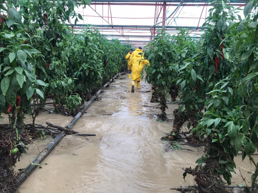 Kuvvetli Sağanak Nedeniyle Kaş'ta 30 Dekar Sera Alanı Zarar Gördü