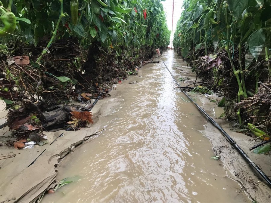 Kuvvetli Sağanak Nedeniyle Kaş'ta 30 Dekar Sera Alanı Zarar Gördü