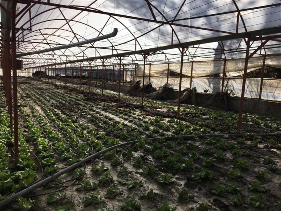 Kuvvetli Sağanak Nedeniyle Kaş'ta 30 Dekar Sera Alanı Zarar Gördü