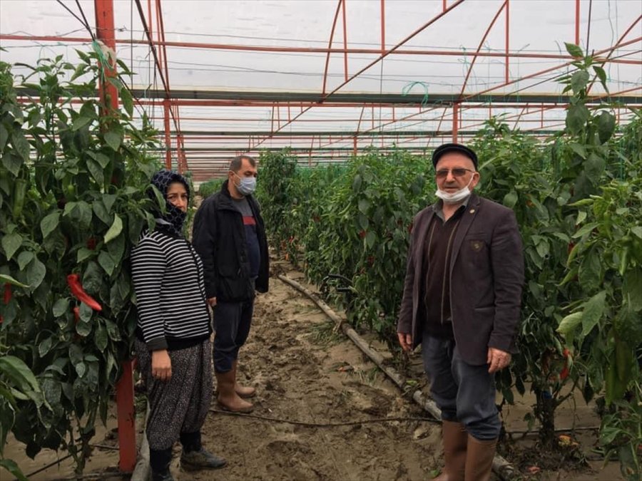 Kuvvetli Sağanak Nedeniyle Kaş'ta 30 Dekar Sera Alanı Zarar Gördü
