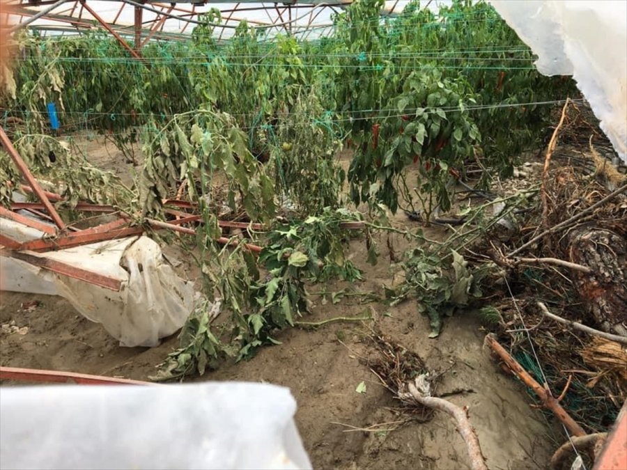 Kuvvetli Sağanak Nedeniyle Kaş'ta 30 Dekar Sera Alanı Zarar Gördü