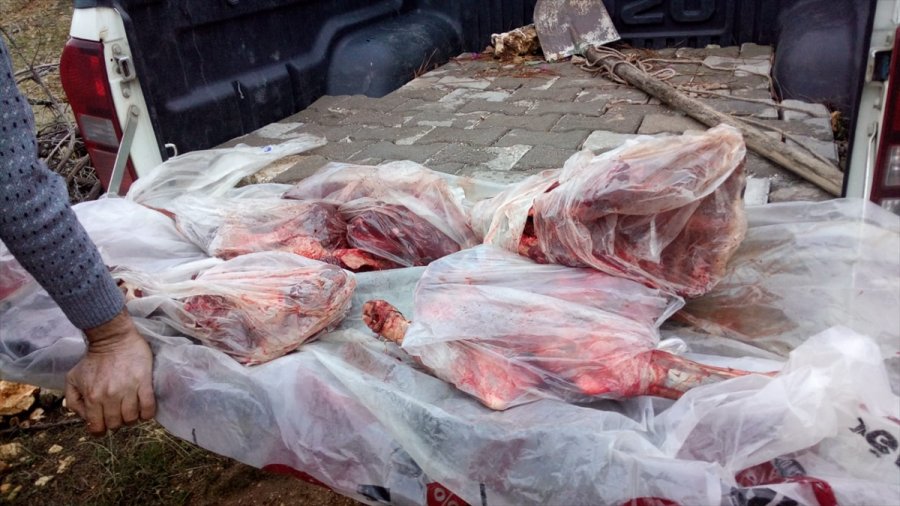 Mersin'de Kaçak Avcılara 31 Bin Lira Ceza Kesildi