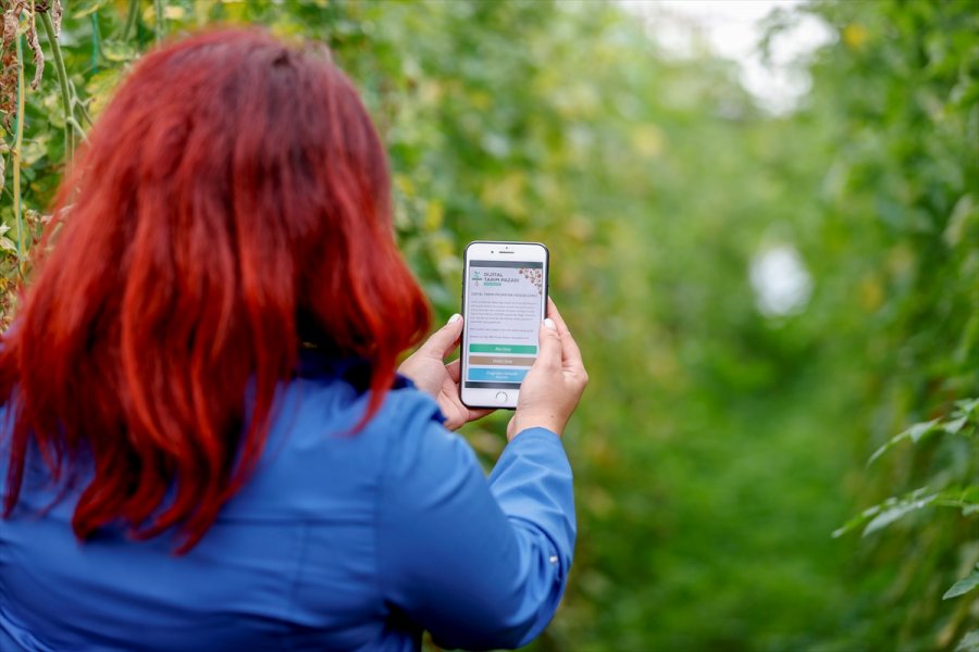 Dijital Tarım Pazarı Üreticinin Yüzünü Güldürdü