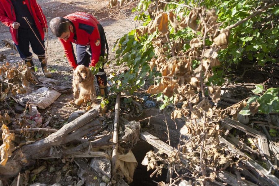 Mersin'de Düştüğü Kuyuda Mahsur Kalan Köpeği İtfaiye Kurtardı