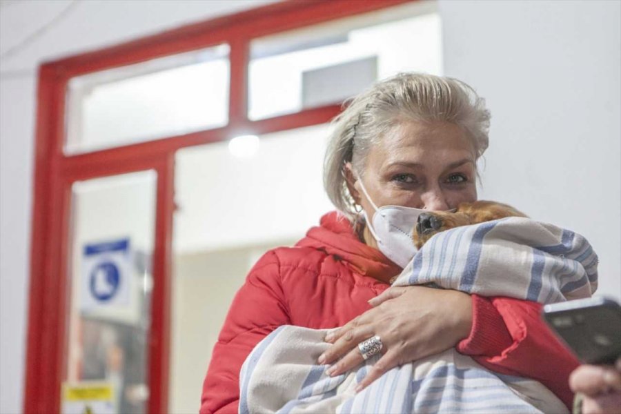 Mersin'de Düştüğü Kuyuda Mahsur Kalan Köpeği İtfaiye Kurtardı