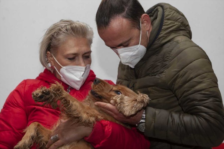 Mersin'de Düştüğü Kuyuda Mahsur Kalan Köpeği İtfaiye Kurtardı