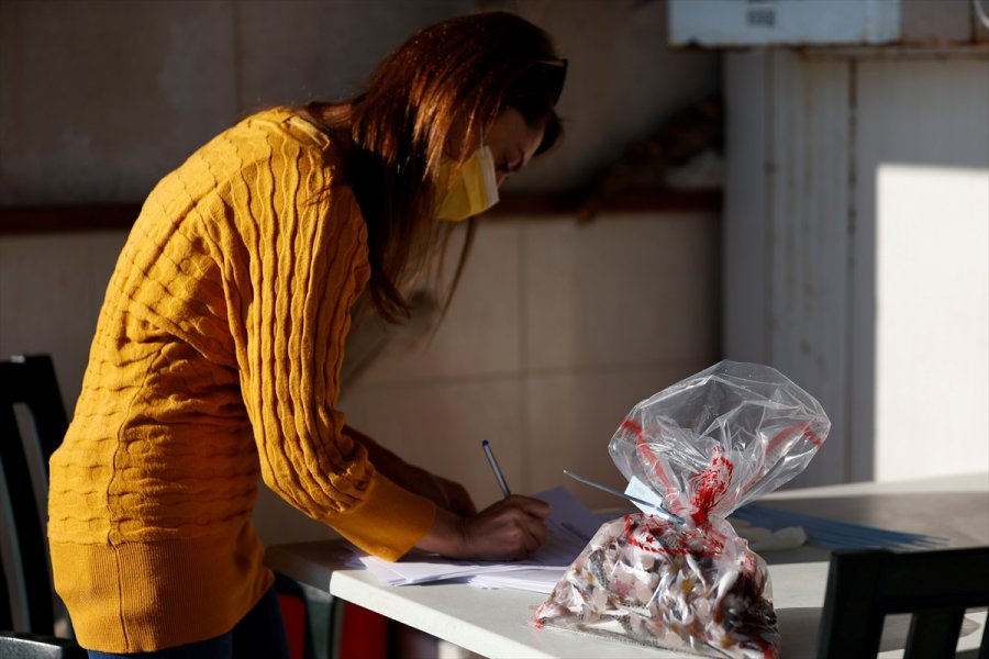 Antalyalı Balıkçılar,