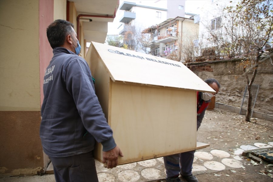 Gölbaşı Belediyesinden Yavru Köpeklere Kulübe Desteği