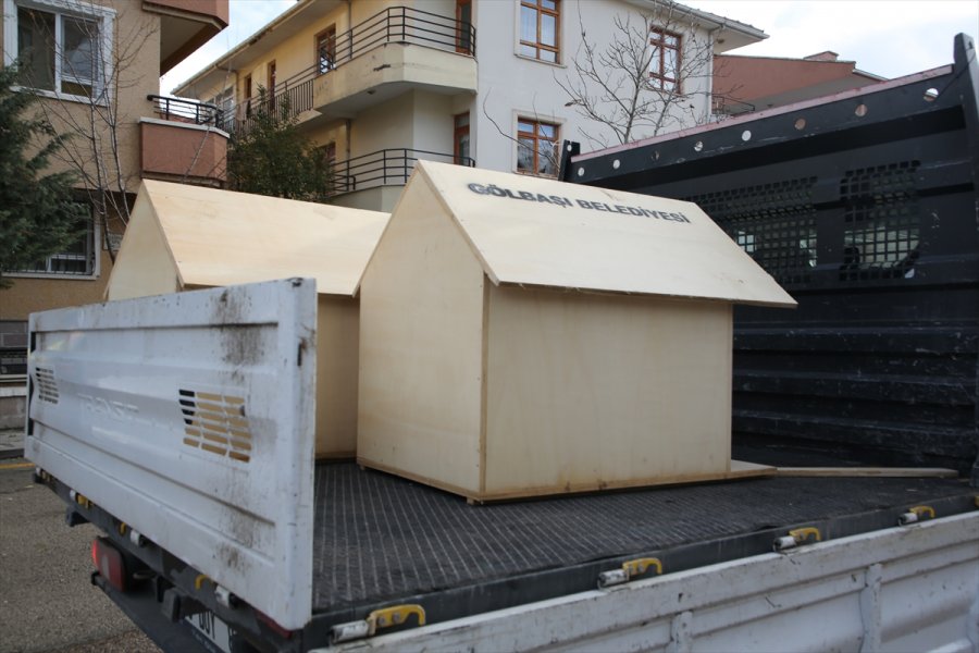 Gölbaşı Belediyesinden Yavru Köpeklere Kulübe Desteği