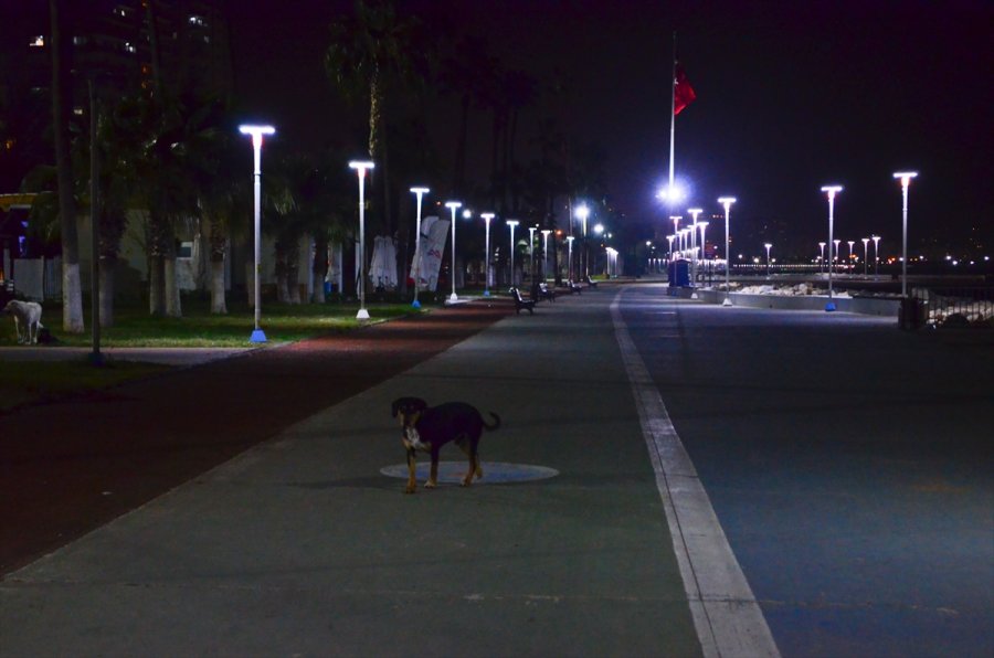 Mersin'de Cadde Ve Sokaklar Sessizliğe Büründü