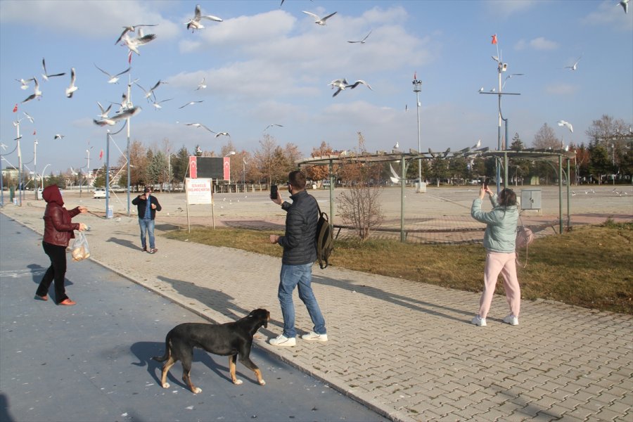 Beyşehir Gölü Kıyıları Yabancı Turistlere Kaldı