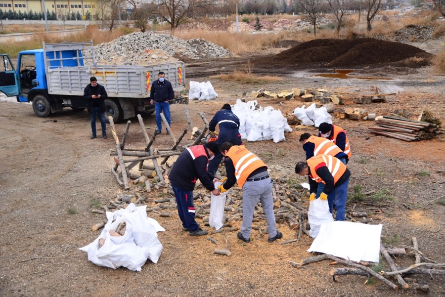 Kahramankazan’da Budanan Ağaçlar İhtiyaç Sahiplerine Dağıtılıyor