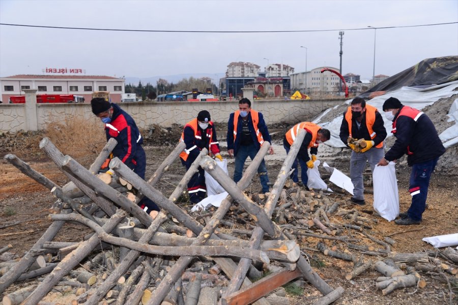 Kahramankazan’da Budanan Ağaçlar İhtiyaç Sahiplerine Dağıtılıyor