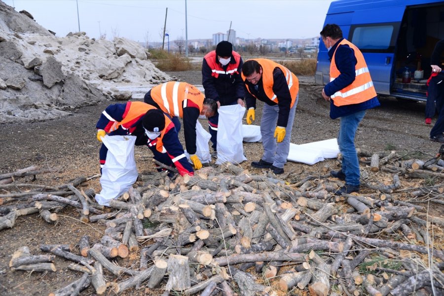 Kahramankazan’da Budanan Ağaçlar İhtiyaç Sahiplerine Dağıtılıyor