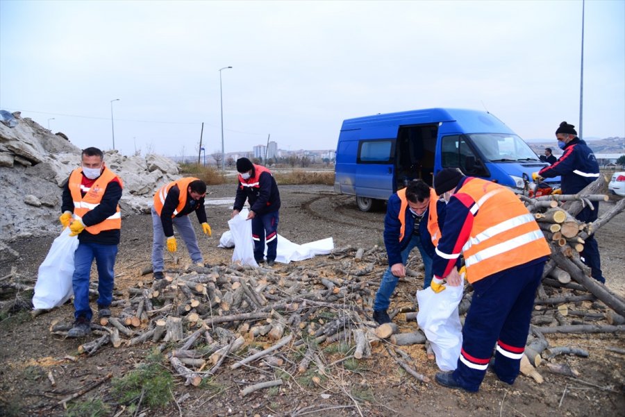 Kahramankazan’da Budanan Ağaçlar İhtiyaç Sahiplerine Dağıtılıyor