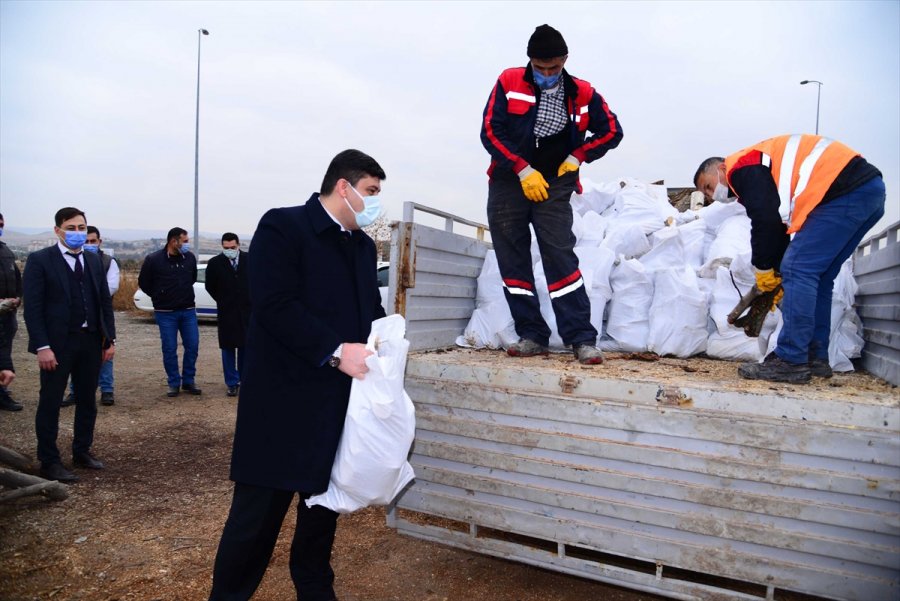 Kahramankazan’da Budanan Ağaçlar İhtiyaç Sahiplerine Dağıtılıyor