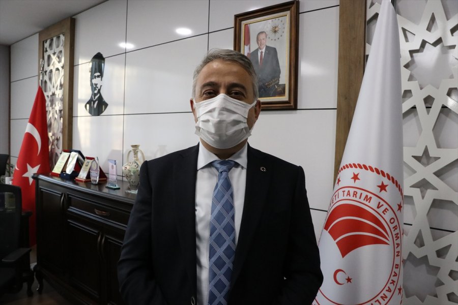 Hayvanları Telef Olan Çiftçiler Devlet Desteğiyle Üretime Devam Ediyor