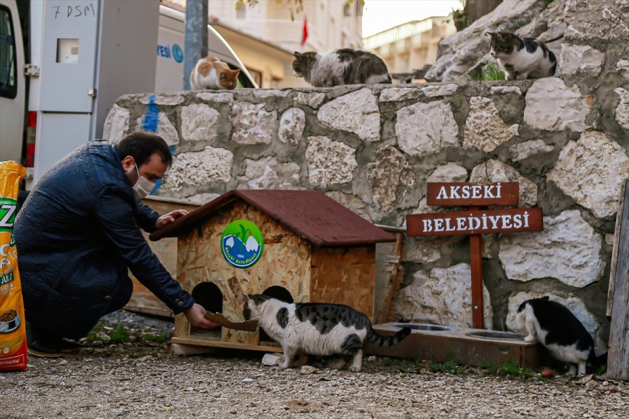 Akseki Belediyesi Sokak Hayvanlarını Unutmadı