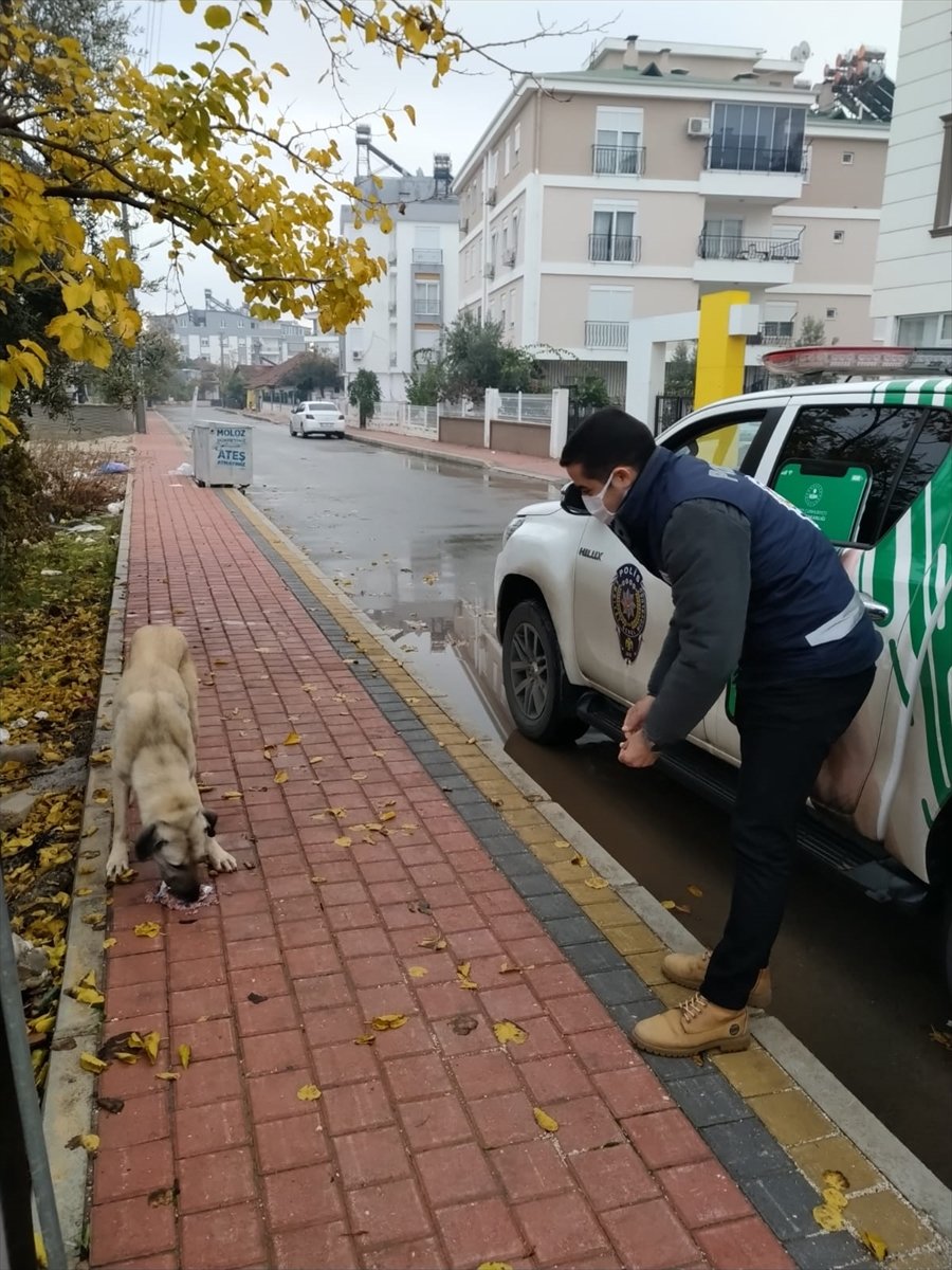 Antalya Polisi Sokak Hayvanlarını Besledi