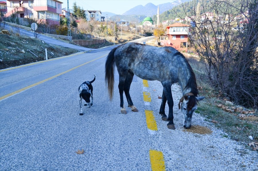Mersin'de Sokağa Çıkma Kısıtlamasında 