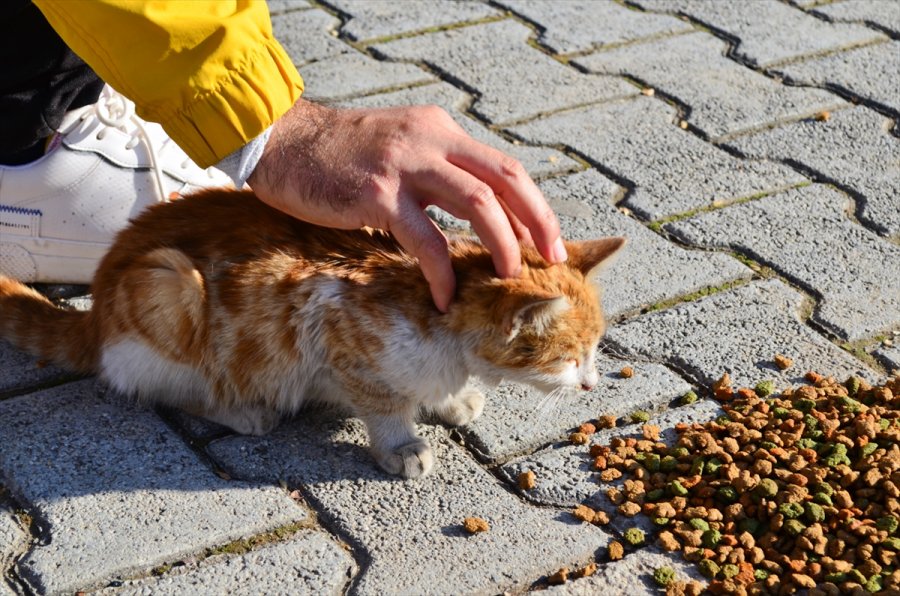 Mersin'de Sokağa Çıkma Kısıtlamasında 