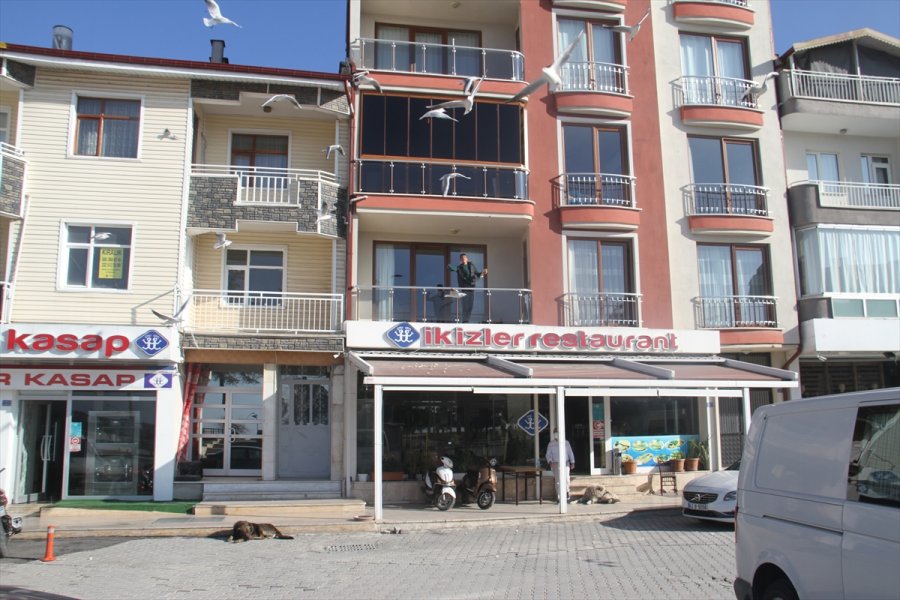 Martı Sürülerini Evlerinin Balkondan Ekmek Atarak Besliyorlar