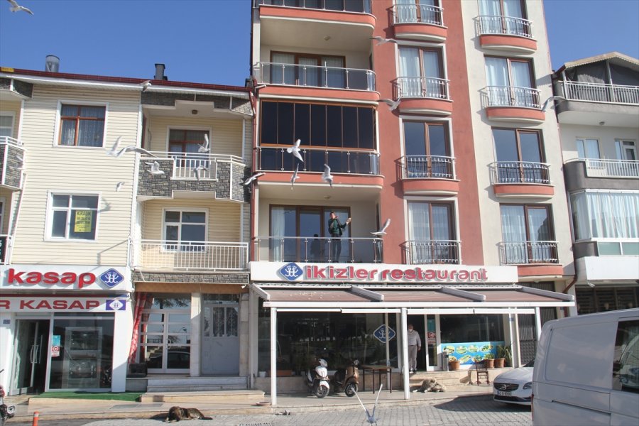 Martı Sürülerini Evlerinin Balkondan Ekmek Atarak Besliyorlar