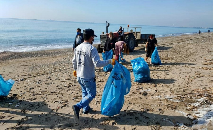 Mersin'de Deniz Kaplumbağalarının Yuvalama Alanı Temizlendi