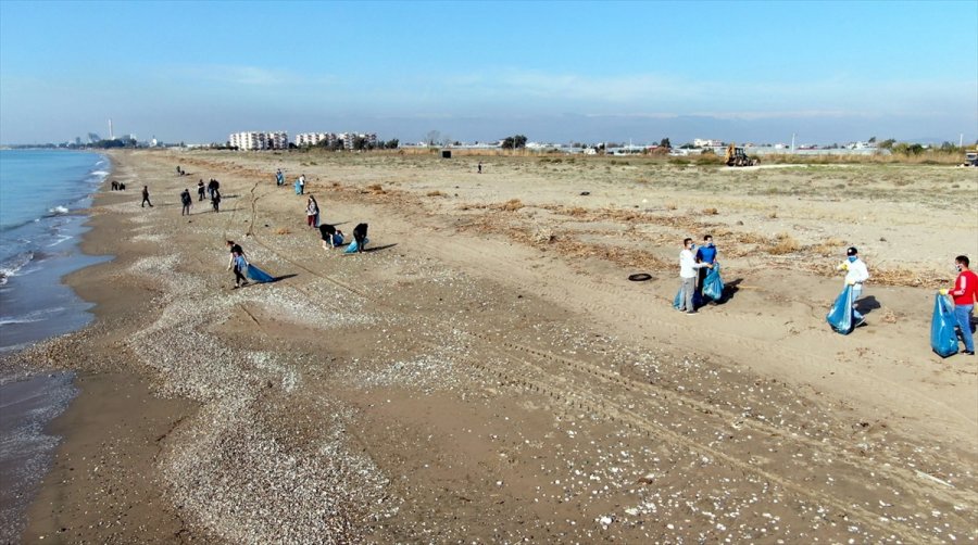 Mersin'de Deniz Kaplumbağalarının Yuvalama Alanı Temizlendi