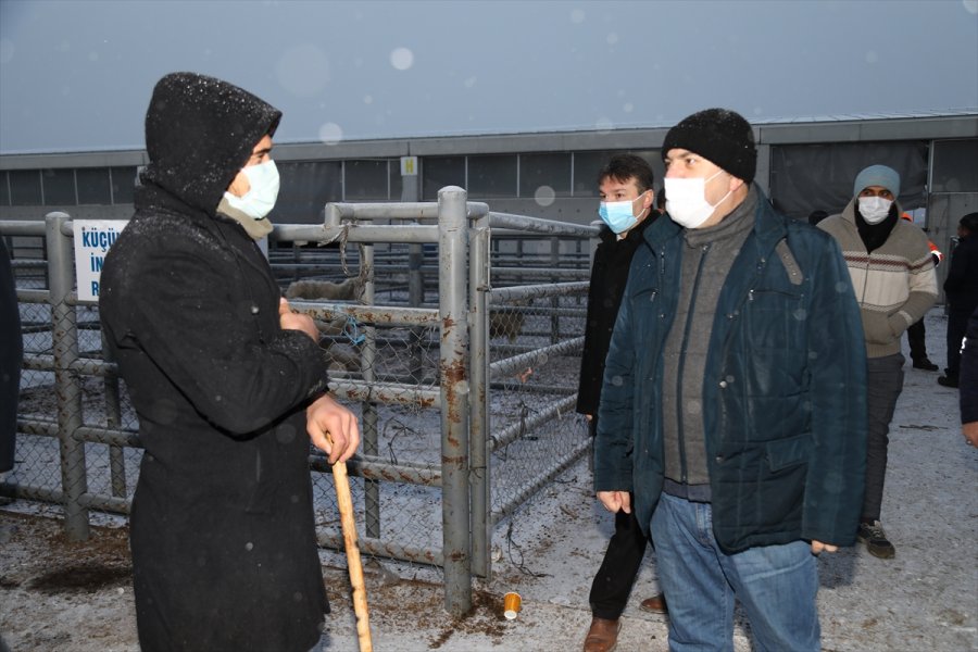 Çubuk Belediye Başkanı Demirbaş, Canlı Hayvan Pazarını Denetledi